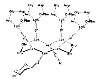 Δομή πολυδραστικού βιομοριακού συστήματος Arg-Gly-Asp.