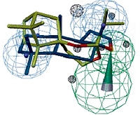 Μοντέλο για μυρωδιά τύπου κεχριμπαριού με βάση την ένωση Ambrox