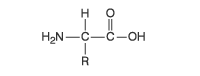 aminoacid