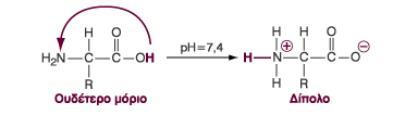 zwitterion