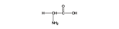 aminoacids